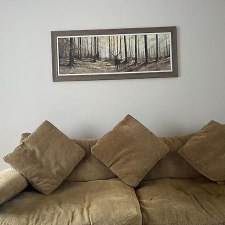 Villa The Nest à Belfast Extérieur photo
